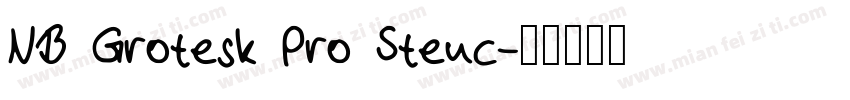 NB Grotesk Pro Stenc字体转换